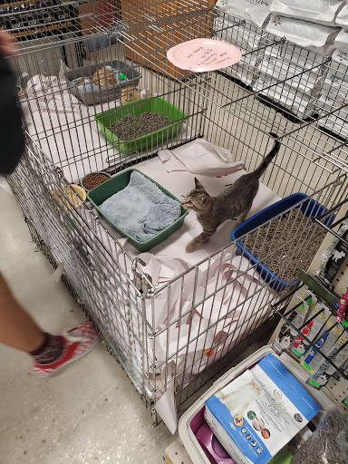 Pet Store «Pet World - Auburndale», reviews and photos, 3637 Havendale Blvd, Auburndale, FL 33823, USA