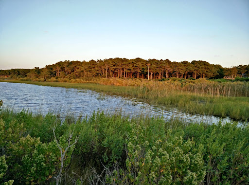 Golf Club «Mink Meadows Golf Club», reviews and photos, 320 Golf Club Rd, Vineyard Haven, MA 02568, USA