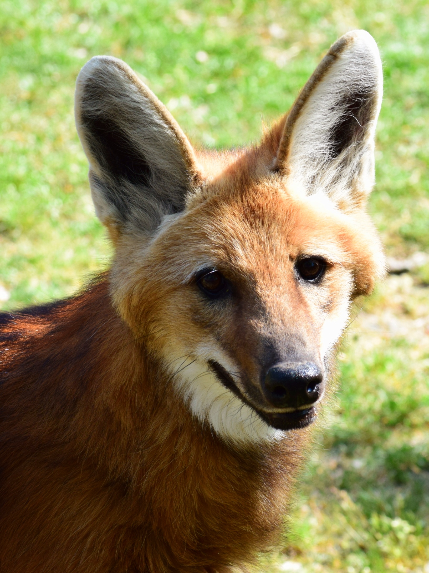 Photo n° 1 de l'avis de Caroline. fait le 23/04/2022 à 15:11