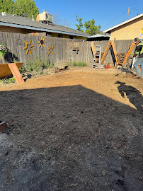 Rogers Tree Service & Landscape - Photo 9 - Car repair in , Clovis