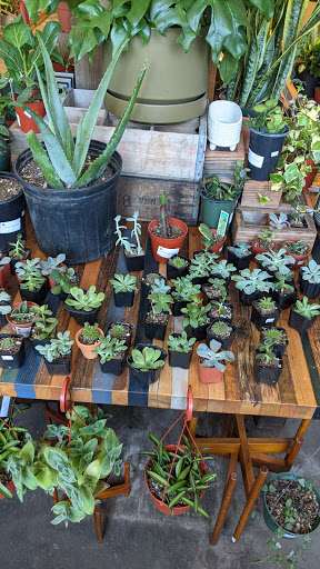 Garden «Sierra Water Gardens», reviews and photos, 2110 Dickerson Rd, Reno, NV 89503, USA