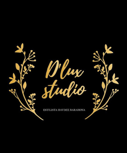 Opiniones de D'lux studio en Limache - Tienda