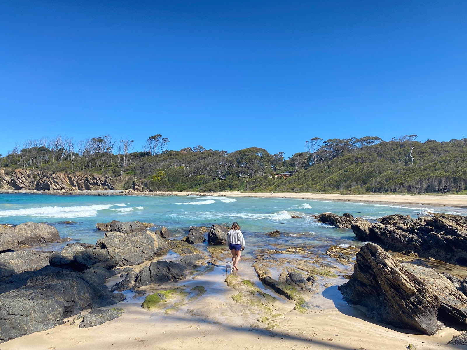 Foto de Lilli Pilli Beach - bom local amigável para animais de estimação para férias