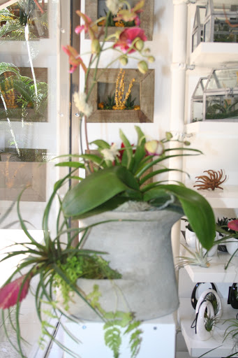 Florist «Formaneta», reviews and photos, 939 Crandon Blvd, Key Biscayne, FL 33149, USA