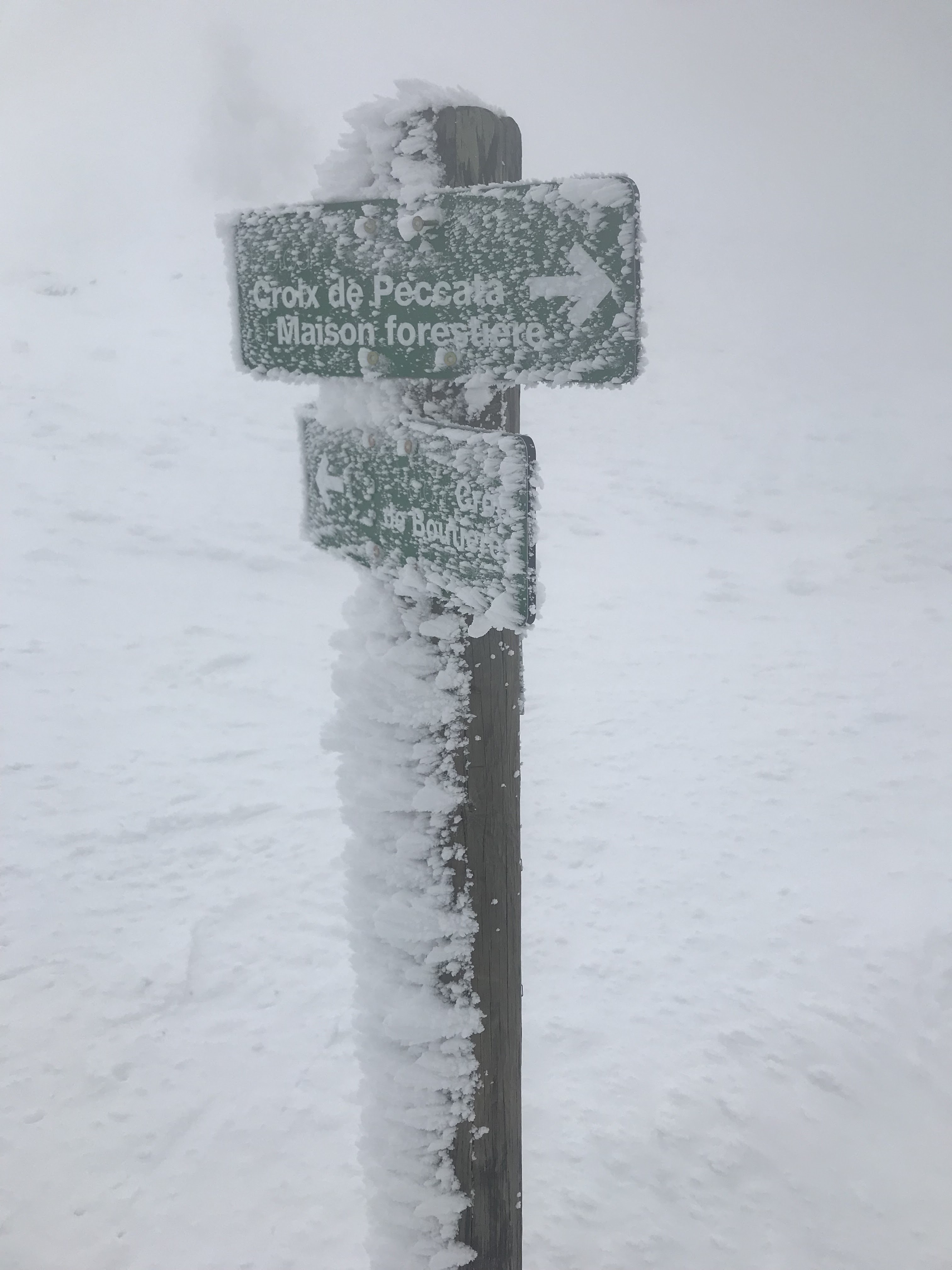 Photo n° 2 de l'avis de sylvain. fait le 29/01/2023 à 18:41