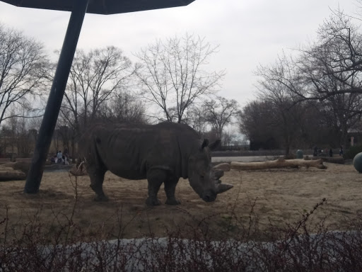 Animal Park «Detroit Zoo Safari Station Exit», reviews and photos, Ludlow Pl, Huntington Woods, MI 48070, USA
