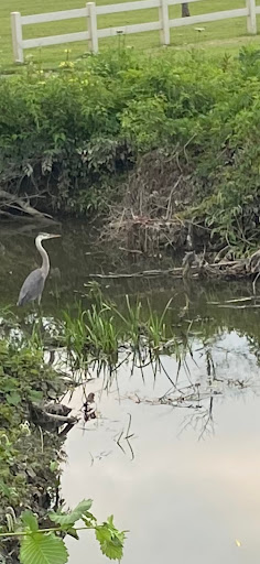 Park «Civic Center Park», reviews and photos, 24135 Hall Rd, Woodhaven, MI 48183, USA