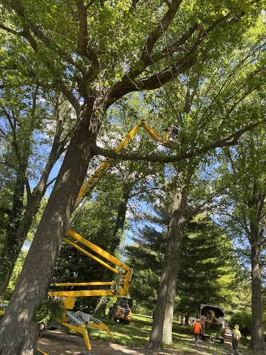 Randy's Tree Service, Inc.