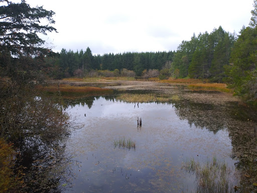 Golf Club «Trophy Lake Golf & Casting Club», reviews and photos, 3900 SW Lake Flora Rd, Port Orchard, WA 98367, USA