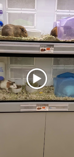 Pet Supply Store «Petco Animal Supplies», reviews and photos, 10 Sylvan St, Peabody, MA 01960, USA