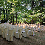 Photo n°7 de l'avis de Roberta.i fait le 16/06/2022 à 16:04 sur le  Hotel Villa Franceschi à Mira