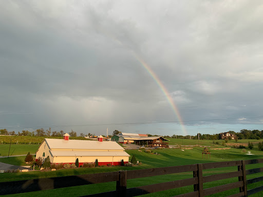 Winery «Lovers Leap Vineyards and Winery», reviews and photos, 1180 Lanes Mill Rd, Lawrenceburg, KY 40342, USA