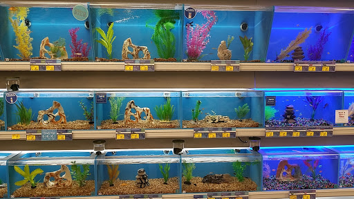 Pet Supply Store «PetSmart», reviews and photos, 950 Hanes Mall Blvd, Winston-Salem, NC 27103, USA
