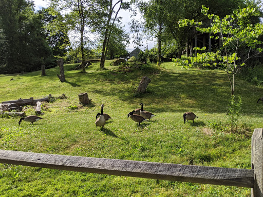 Nature Preserve «Beechwood Farms Nature Reserve», reviews and photos, 614 Dorseyville Rd, Pittsburgh, PA 15238, USA