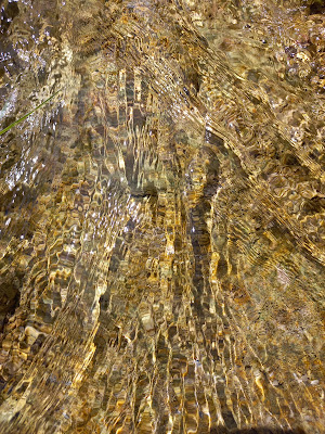 pisciculture des sources de la fabrique à La Sône