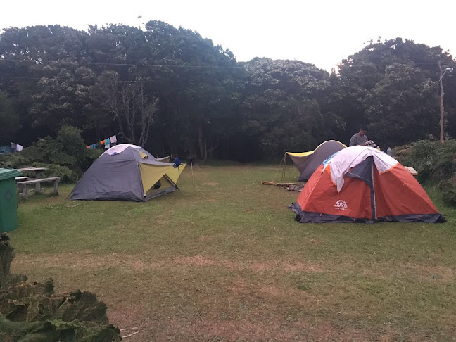 Camping EL MANZANO - Chonchi