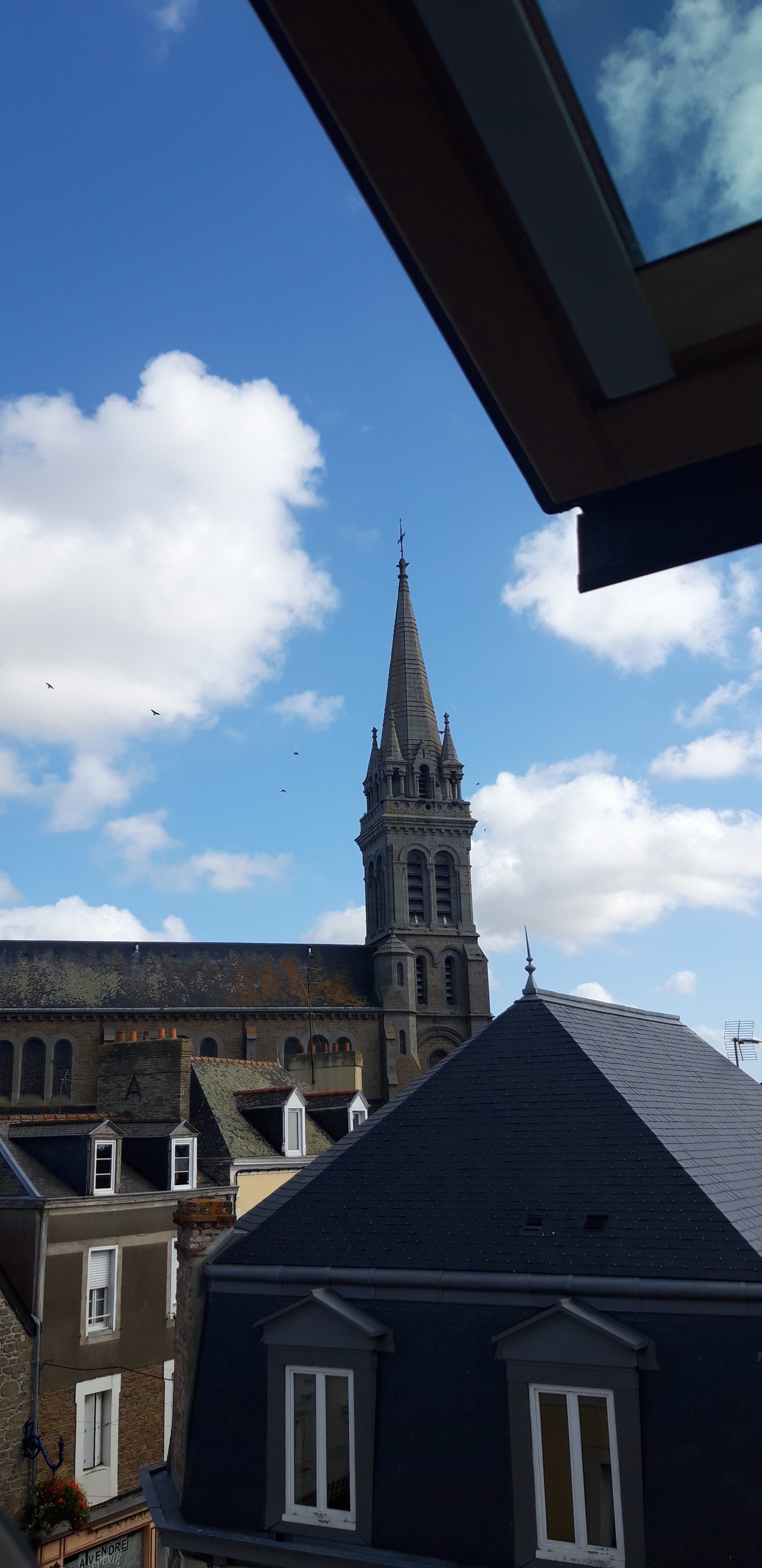 Photo n° 2 de l'avis de reine.a fait le 06/09/2019 à 08:33