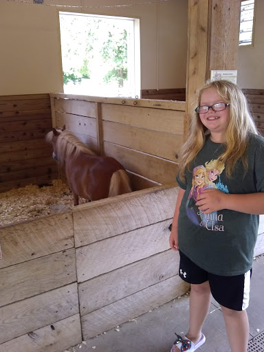 Public Swimming Pool «Tropicanoe Cove», reviews and photos, 1915 Scott St, Lafayette, IN 47904, USA