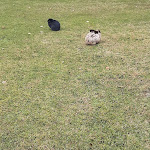 Photo n°1 de l'avis de Ingrid.a fait le 11/12/2023 à 10:46 sur le  Hotel City Parma à Parma