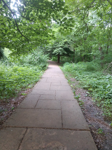 Park «Francis William Bird Park», reviews and photos, 251 Washington St, East Walpole, MA 02032, USA