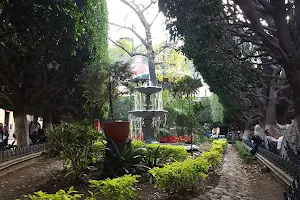 Unión Garden image