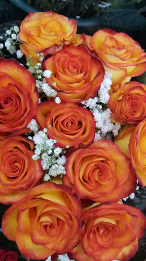 Supermarket «ALDI», reviews and photos, 6679 U.S. 9, Howell, NJ 07731, USA