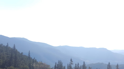 Nature Preserve «Mount Goliath Natural Area», reviews and photos, Mt Evans Rd, Evergreen, CO 80439, USA