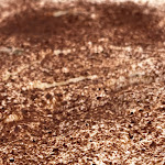 Photo n°3 de l'avis de Marzella.h fait le 28/09/2022 à 17:03 sur le  Ristorante Pizzeria Belvedere à Spoleto