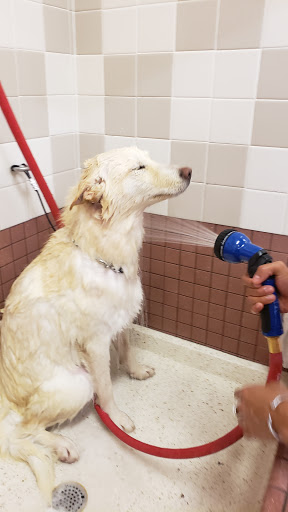 Pet Supply Store «Pet Food Express», reviews and photos, 27341 Hawthorne Blvd, Rolling Hills Estates, CA 90274, USA