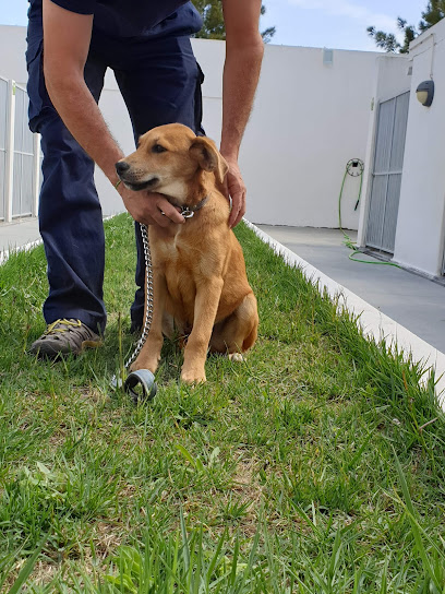 Centro de Recolha Oficial de Animais do Município de Oeiras (CROAMO)