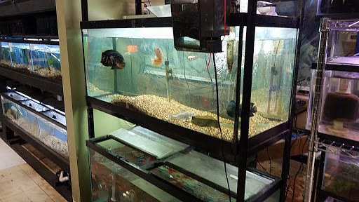 Pet Store «Gills And Thrills Pet Shop», reviews and photos, 204 E 8th St, Lockport, IL 60441, USA