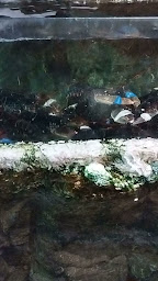 Photo n°98 de La Mère Champlain - Restaurant ET Hôtel à Cancale ()