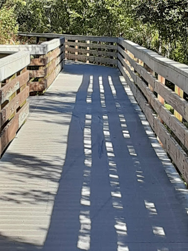 Park «Kapok Park», reviews and photos, 2950 Glen Oak Ave N, Clearwater, FL 33759, USA