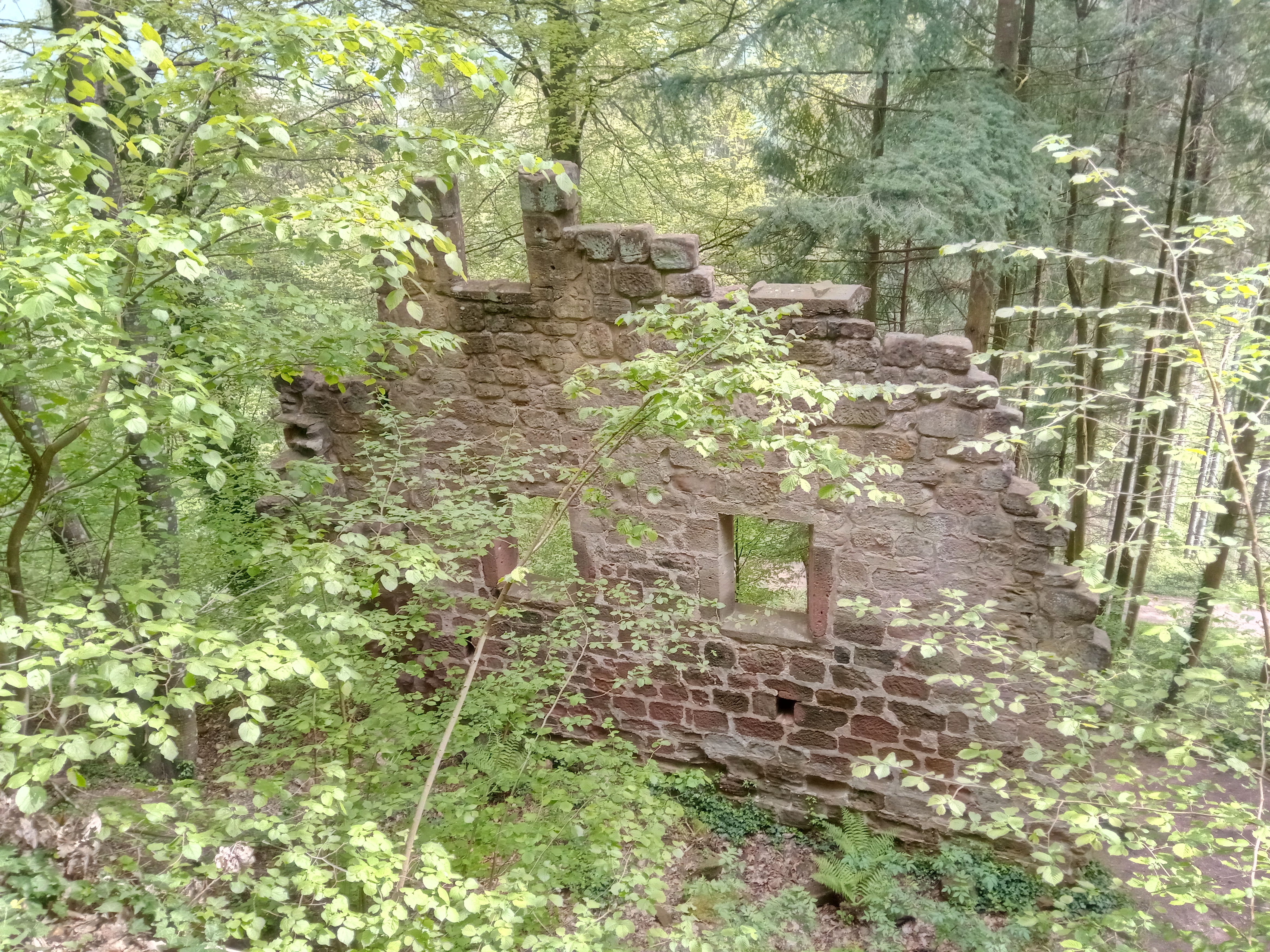 Photo n° 17 de l'avis de Ives.e fait le 03/05/2019 à 12:37