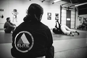 Elite Jiu-Jitsu image