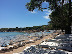 Foto di Spiaggia del campo di Didim area del resort sulla spiaggia