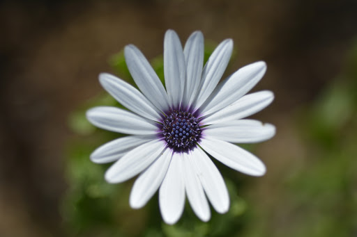 Park «Laguna Niguel Regional Park», reviews and photos, 28241 La Paz Rd, Laguna Niguel, CA 92677, USA