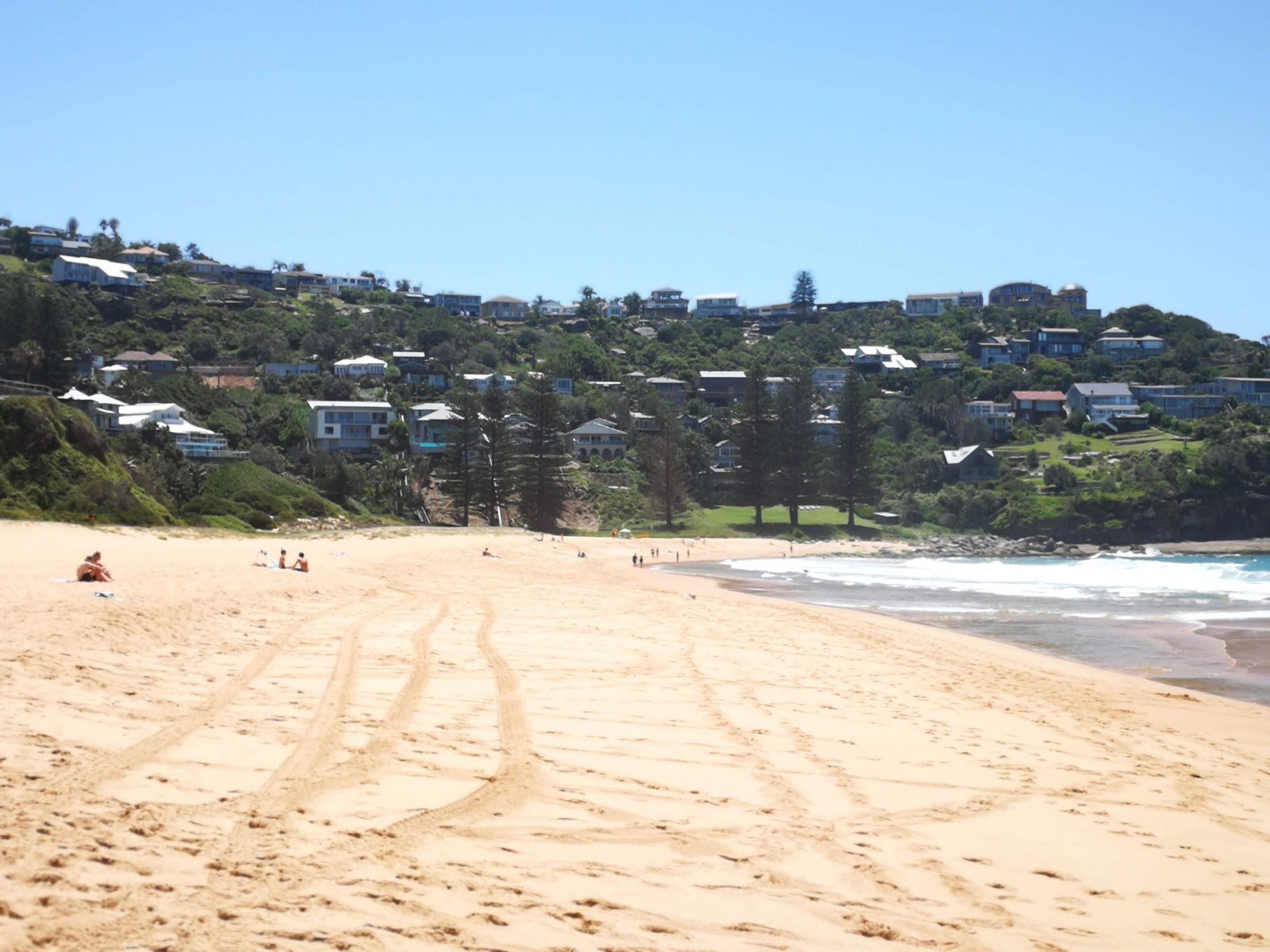 Whale Beach'in fotoğrafı - rahatlamayı sevenler arasında popüler bir yer