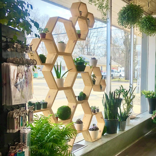 Florist «Plumeria Botanical Boutique», reviews and photos, 1364 W Michigan Ave, Battle Creek, MI 49037, USA