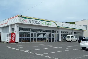 A-Coop Toyotomi image