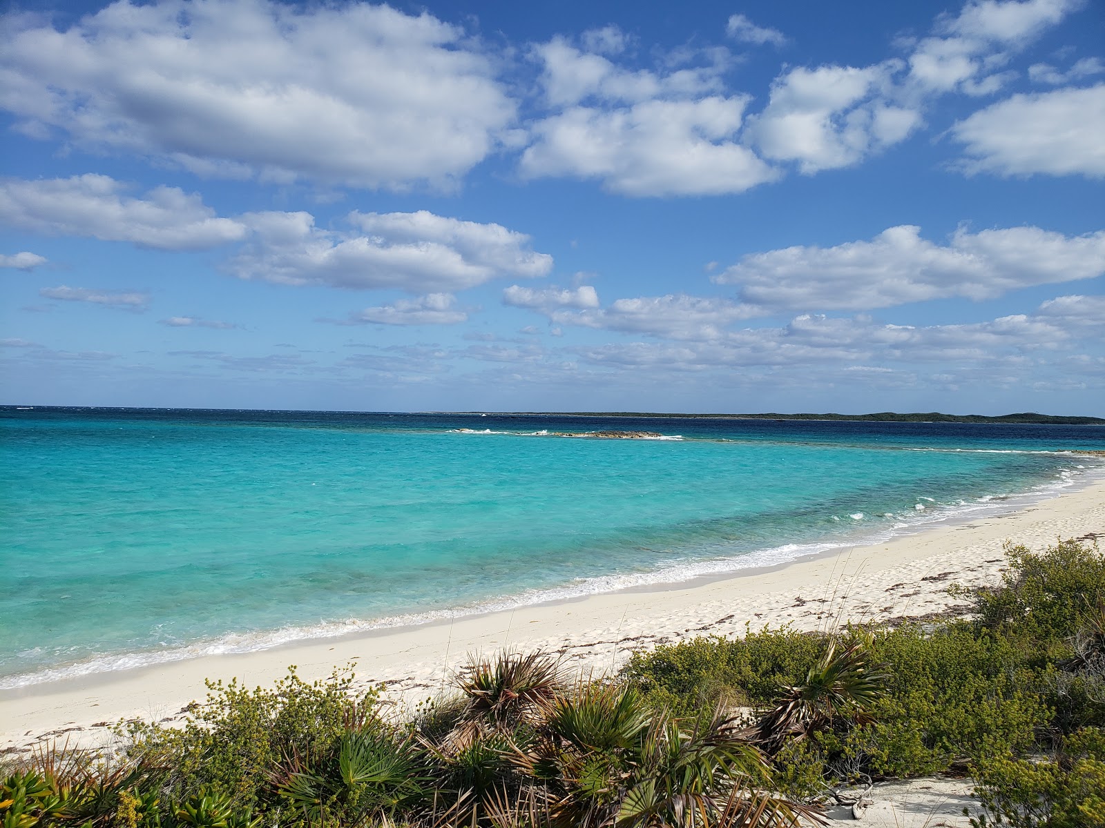 Foto av Iguana beach med rak strand