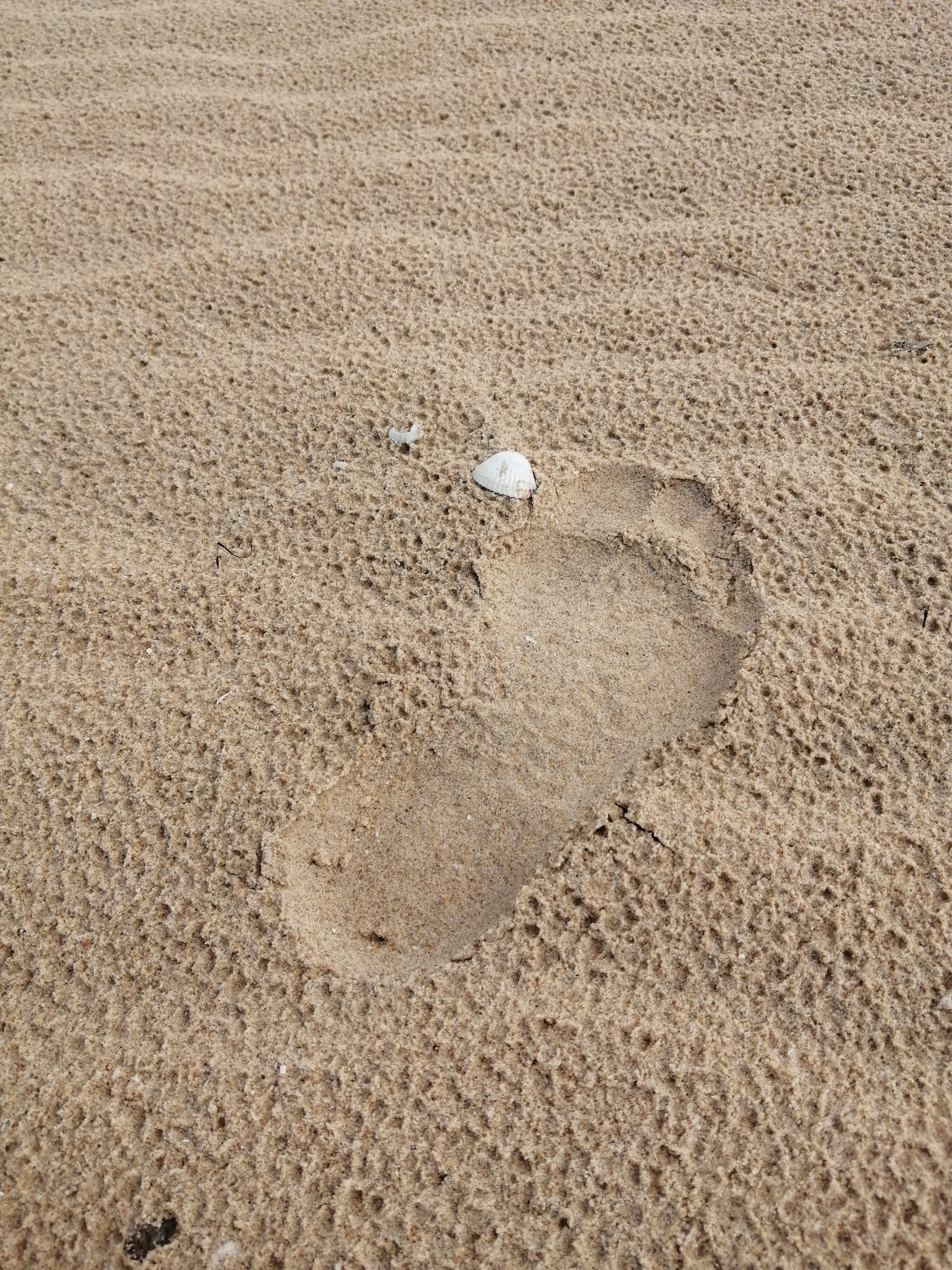 Photo n° 3 de l'avis de florence.o fait le 21/10/2023 à 06:23