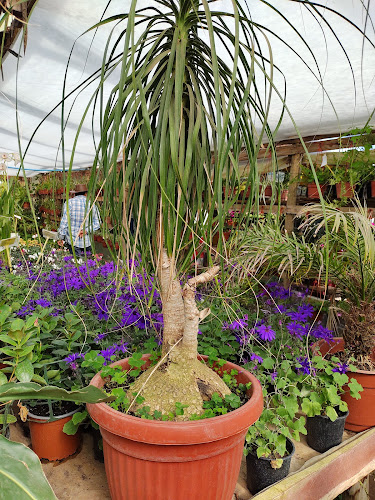 Jardín Kamalu - Centro de jardinería