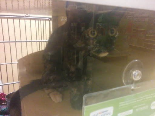 Pet Supply Store «PetSmart», reviews and photos, 4180 US-1, Monmouth Junction, NJ 08852, USA