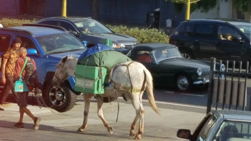 Auto Parts Store «AutoZone», reviews and photos, 1575 S Van Ness Ave, San Francisco, CA 94110, USA