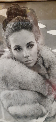 Beauty Salon «Face Value Salon - Aveda Stonefield», reviews and photos, 2050 Bond St #130, Charlottesville, VA 22901, USA