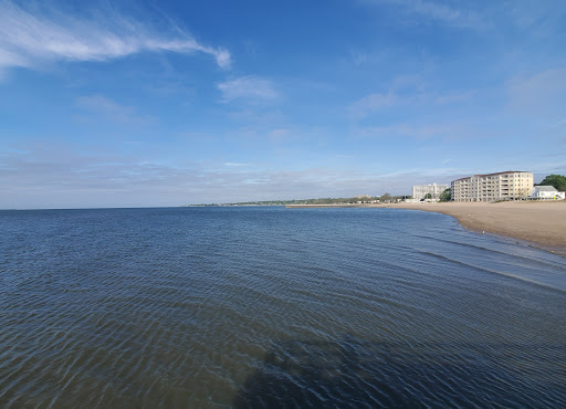 Park «Morse Park», reviews and photos, Morse Ave, West Haven, CT 06516, USA