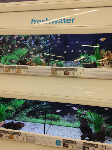 Pet Supply Store «Petco Animal Supplies», reviews and photos, 1933 South Rd, Poughkeepsie, NY 12601, USA