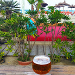 Photo n° 2 de l'avis de Mege.y fait le 20/08/2017 à 13:03 pour Côté Plage Canet Beach Club à Canet-en-Roussillon