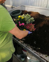 Photo n°16 de Gros Horticulture (GAEC) à Arthaz-Pont-Notre-Dame ()